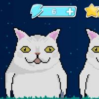 【喵喵消除H5】2025年12月最新整理+Linux手工服务端+附赠源码+教程+Win一键服务端【站长亲测】